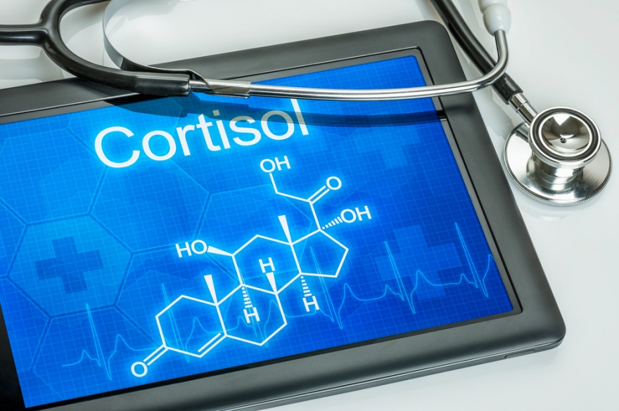 cortisol written on a tablet