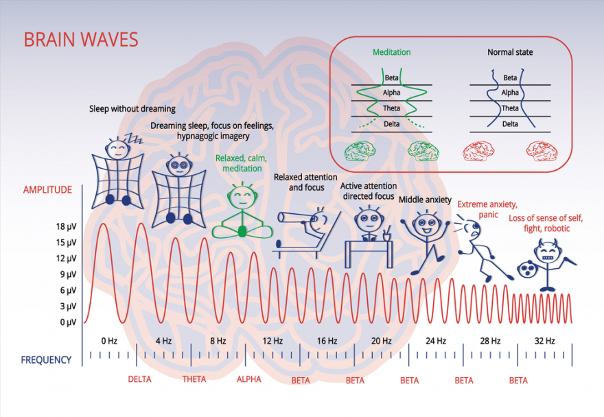 Electromagnetic spectrum of a brain infographic