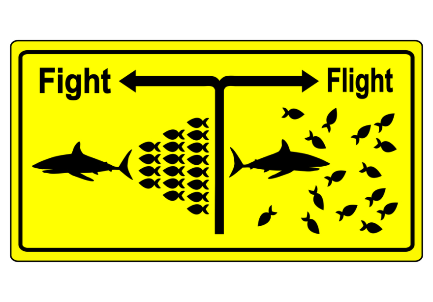 fight or flight concept