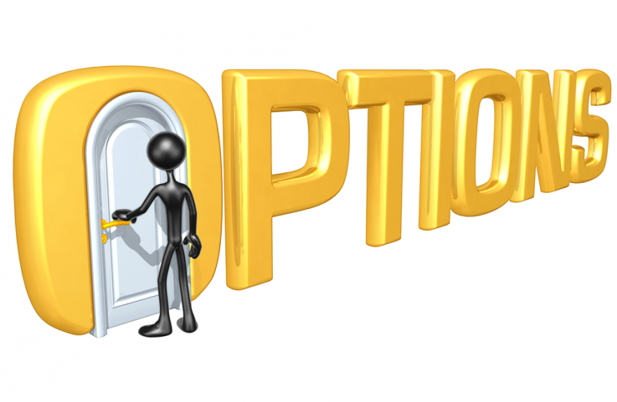 Options Door