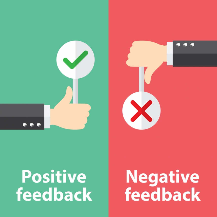positive feedback negative feedback