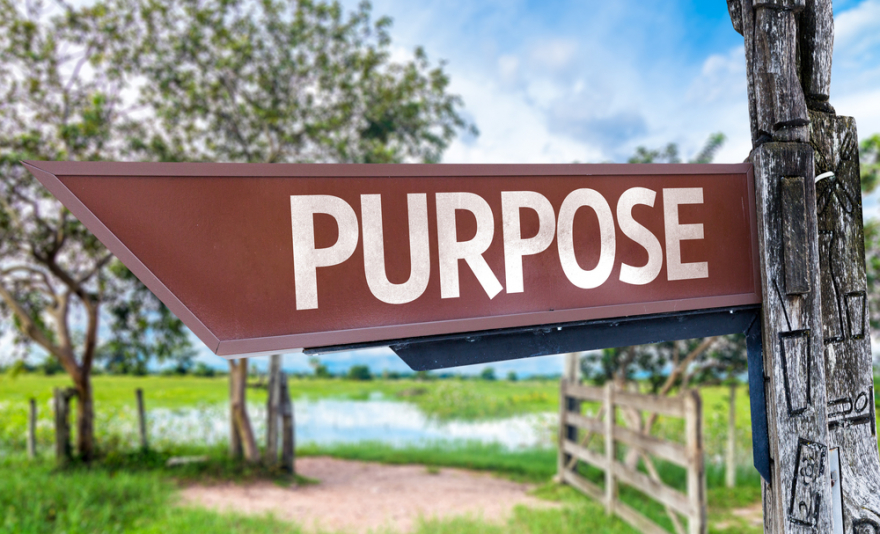 purpose wooden sign