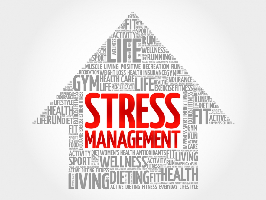 Stress Management Word Cloud