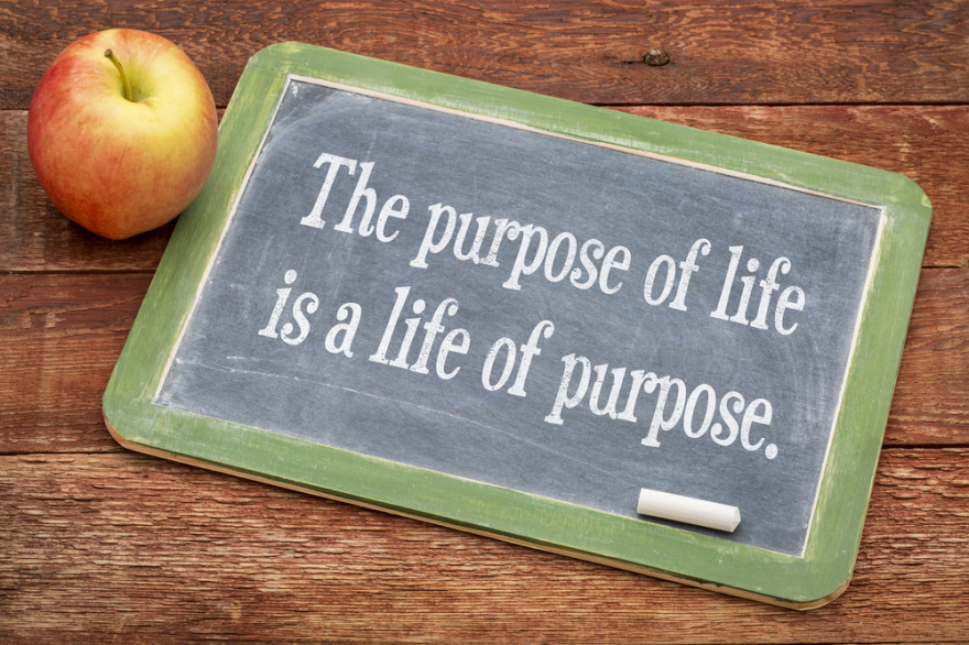 The purpose of life concept
