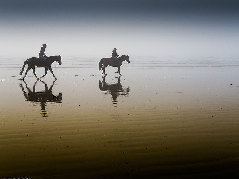 Riding horses on the beach