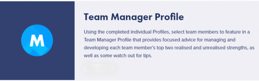TEAM MANAGER PROFILE